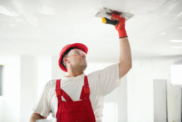 Best Real Estate Mold Inspection  in Zephyrhills West, FL