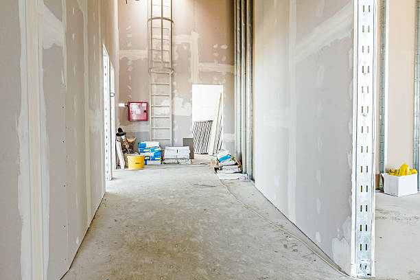 Best Mold Prevention Services  in Zephyrhills West, FL